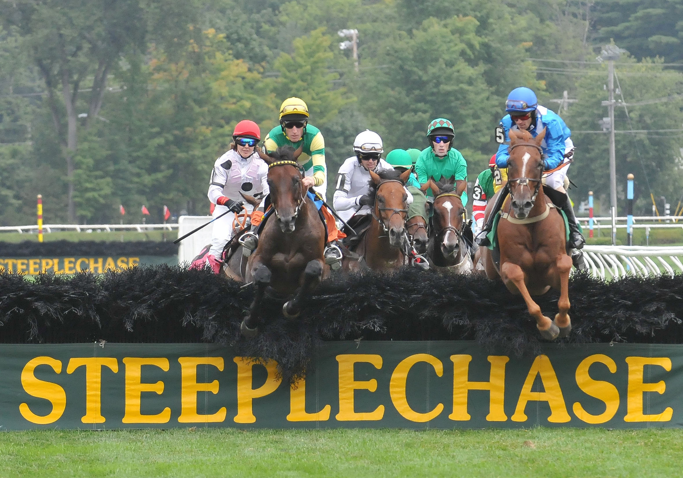 NYRA anuncia el calendario de carreras de obstáculos para el Festival del Belmont Stakes 2026