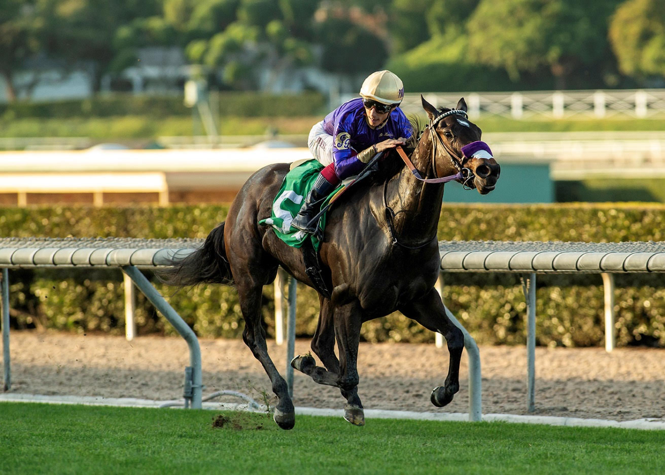 LIGHT WON UP brilla en el Sweet Life Stakes