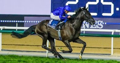 REBEL´S ROMANCE a la equitación