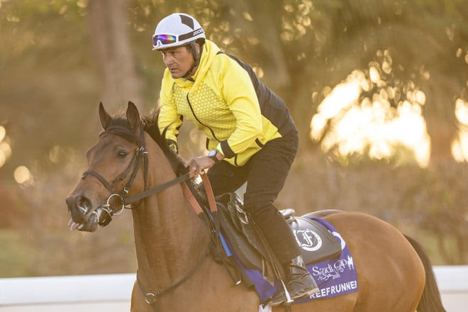 REEF RUNNER bajo el radar en la 1351 Turf Sprint