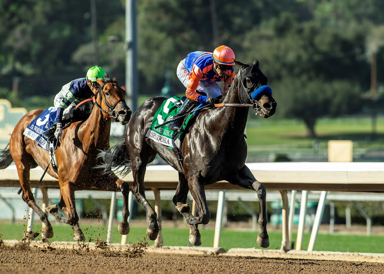 SPLENDORA reaparece ganando el D. Wayne Lukas Stakes