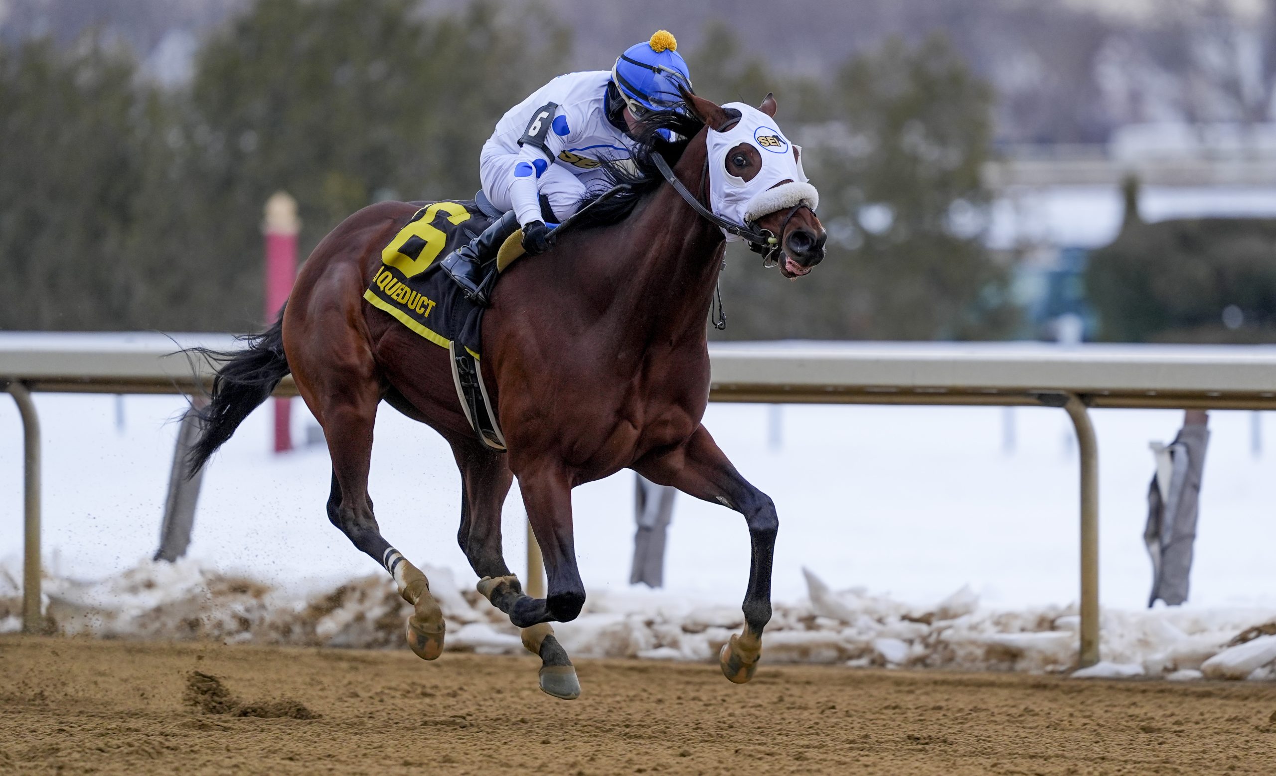 TALK TO ME JIMMY impresiona en el Withers Stakes