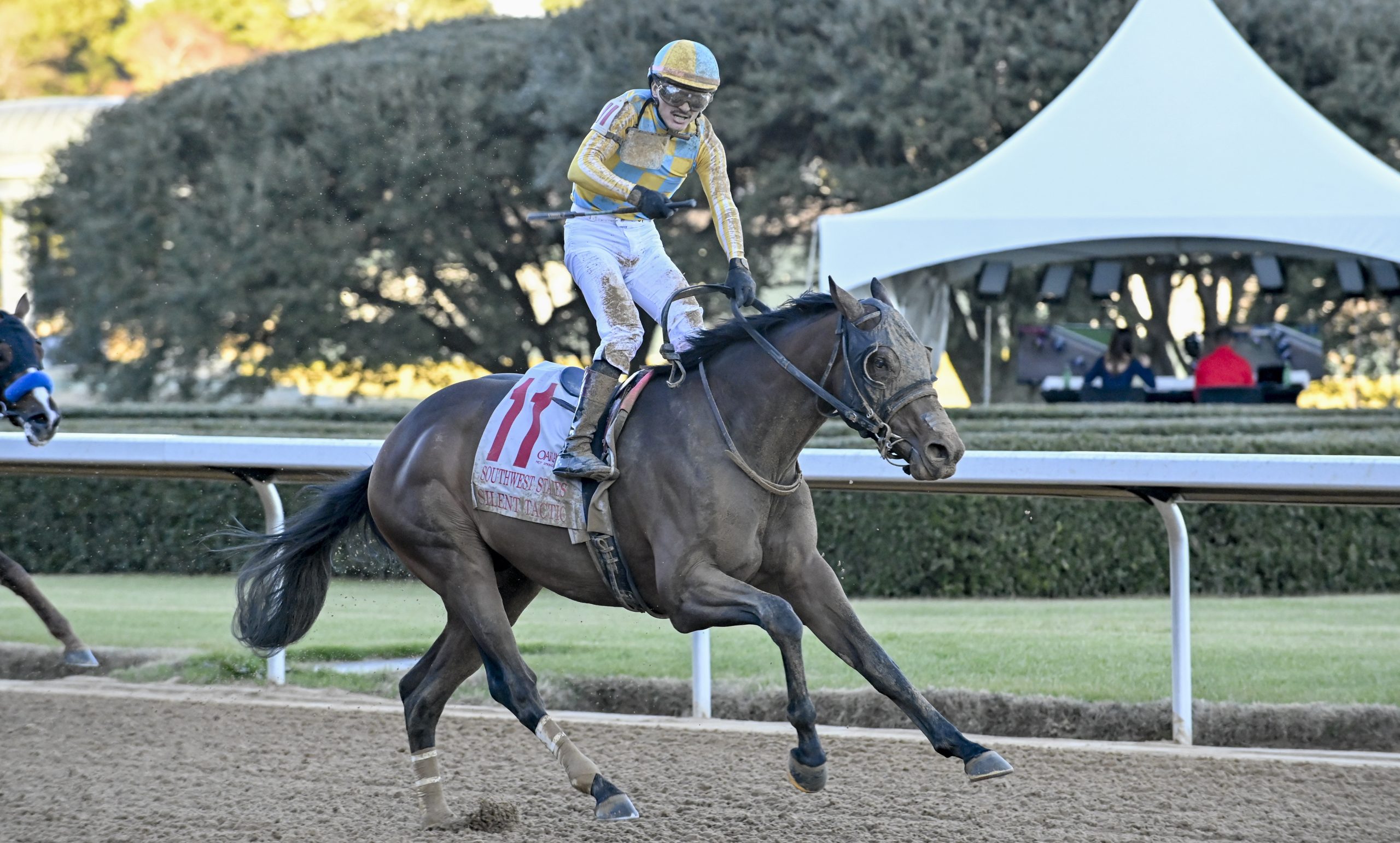 SILENT TACTIC suma hacia las rosas de mayo