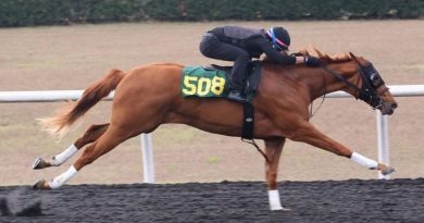 Hijos de DRAIN THE CLOCK y GOLDEN PAL fueron los más rápidos en el día 3 en OBS