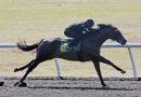 Hijo de ARMY MULE destaca en el primer día del Unde Tack en Ocala