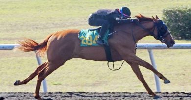 Hija de DRAIN THE CLOCK iguala récord en el segundo día de briseos en OBS