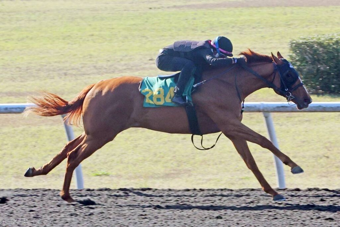 Hija de DRAIN THE CLOCK iguala récord en el segundo día de briseos en OBS