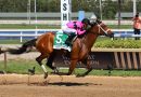 PROM QUEEN logra la victoria en el Gulfstream Park Oaks