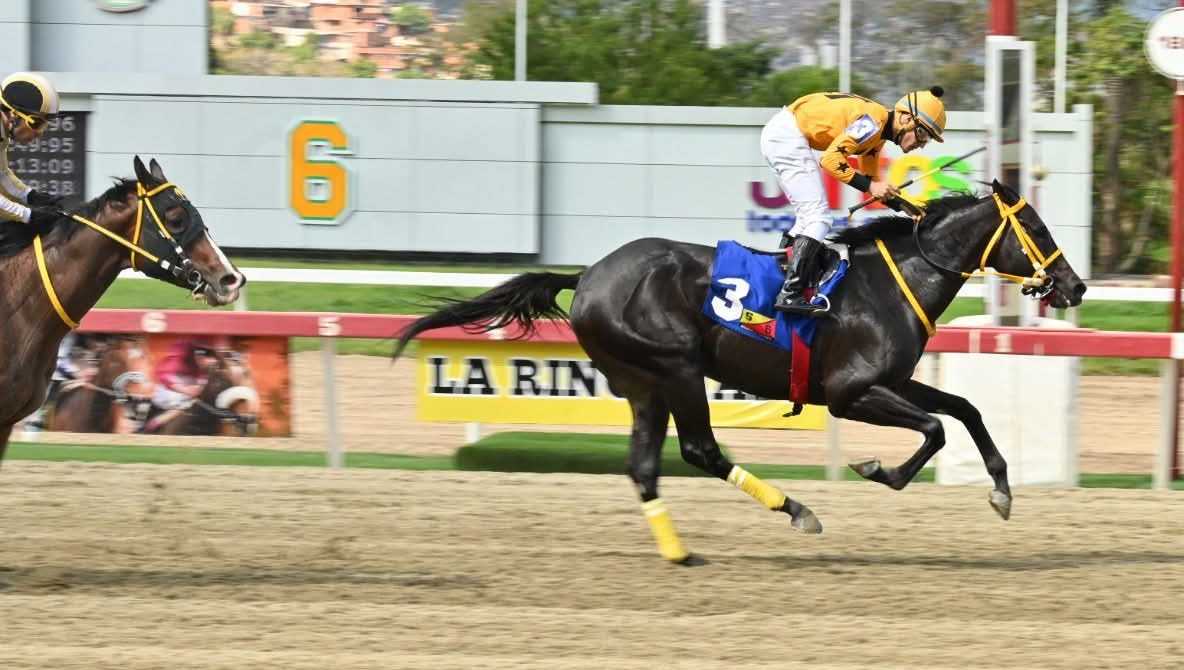 GRAN YACO logra su primera selectiva en La Rinconada