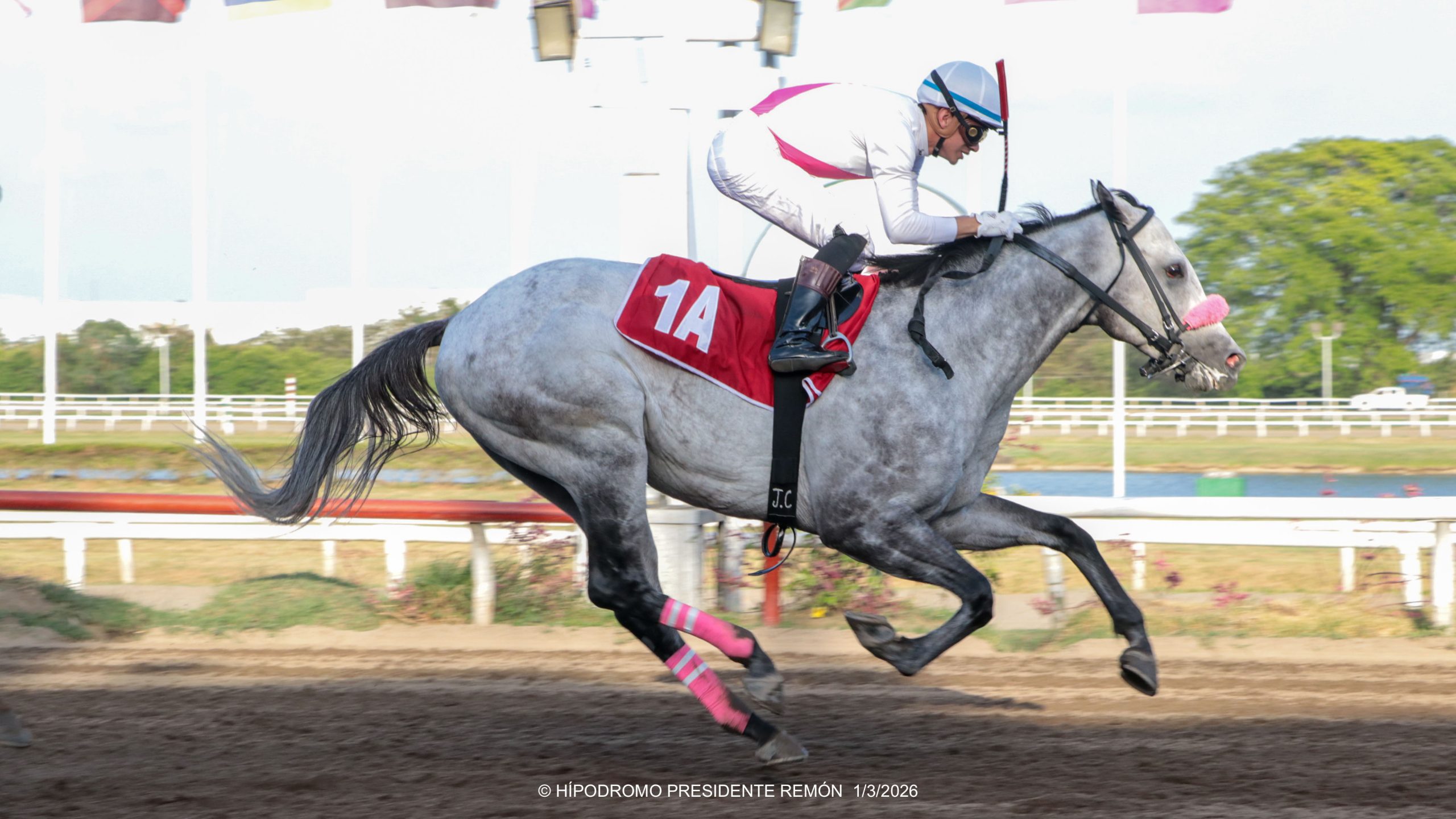 TOMASITO domina los 1.200 metros del Premio Carlos Espino Guanti