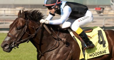 Haras HM y La Celeste anuncian la llegada del Campeón GRETZKY THE GREAT a Venezuela