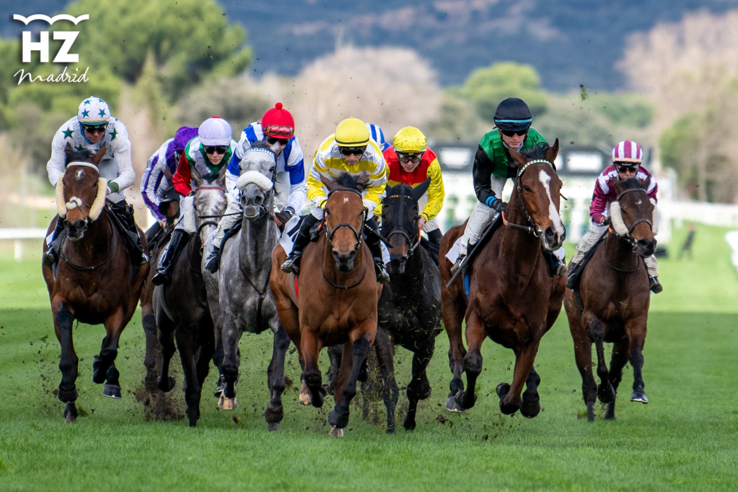 LA EMOCIÓN CONTINÚA EL DOMINGO 15 DE MARZO CON CINCO CARRERAS Y 60 PURASANGRES EN PISTA