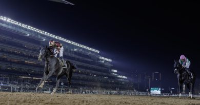 Finaliza en Meydan el «Carnaval más internacional de la historia»