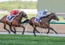 Victoria memorable para FAIRY GLEN en una dramática Dubai Gold Cup