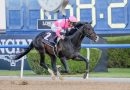 Cinco estrellas para Japón: Takayanagi y Demuro sueñan con Kentucky junto a WONDER DEAN