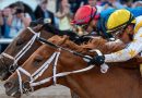 COMMANDMENT se impone por la mínima en el Curlin Florida Derby