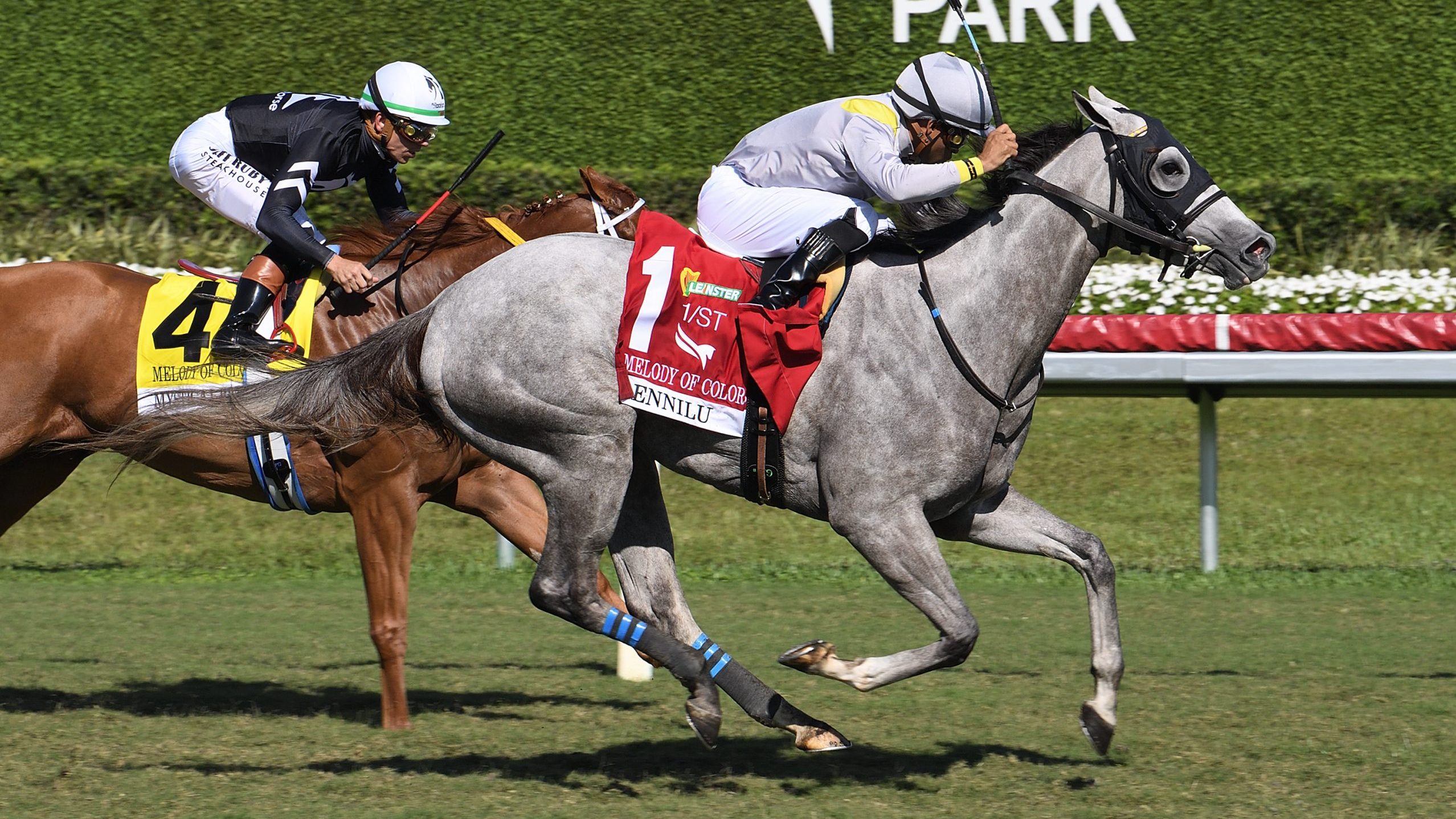 LENNILU debuta en la temporada ganando cómodamente el Leinster Melody of Colors