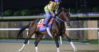 Notas sobre los entrenamientos en Meydan (26 de marzo)