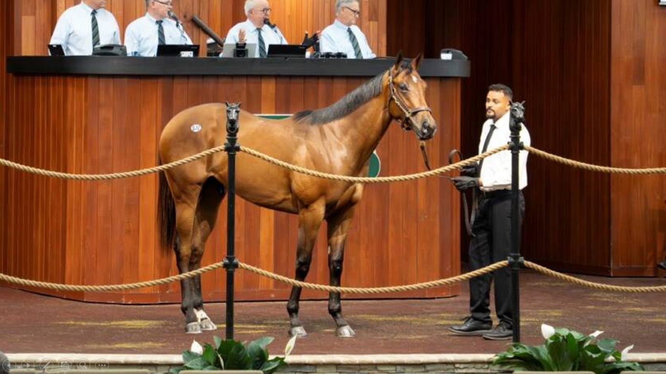 La Venta de Marzo de OBS iguala la marca de productos vendidos en siete cifras