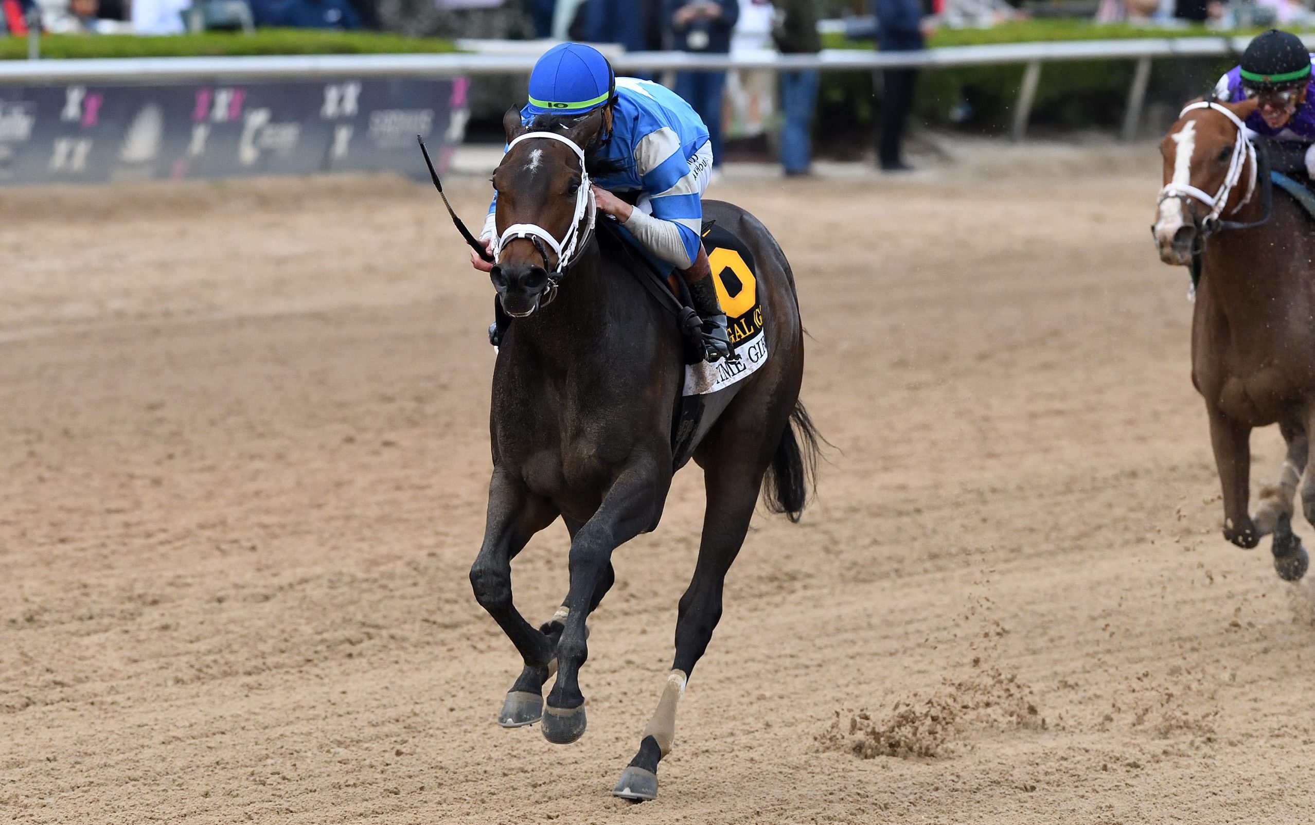 La nominada al Gulfstream Park Oaks, ON TIME GIRL, ejercitó este viernes