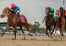 THE PUMA con la yunta de MAGE gana el Tampa Bay Derby