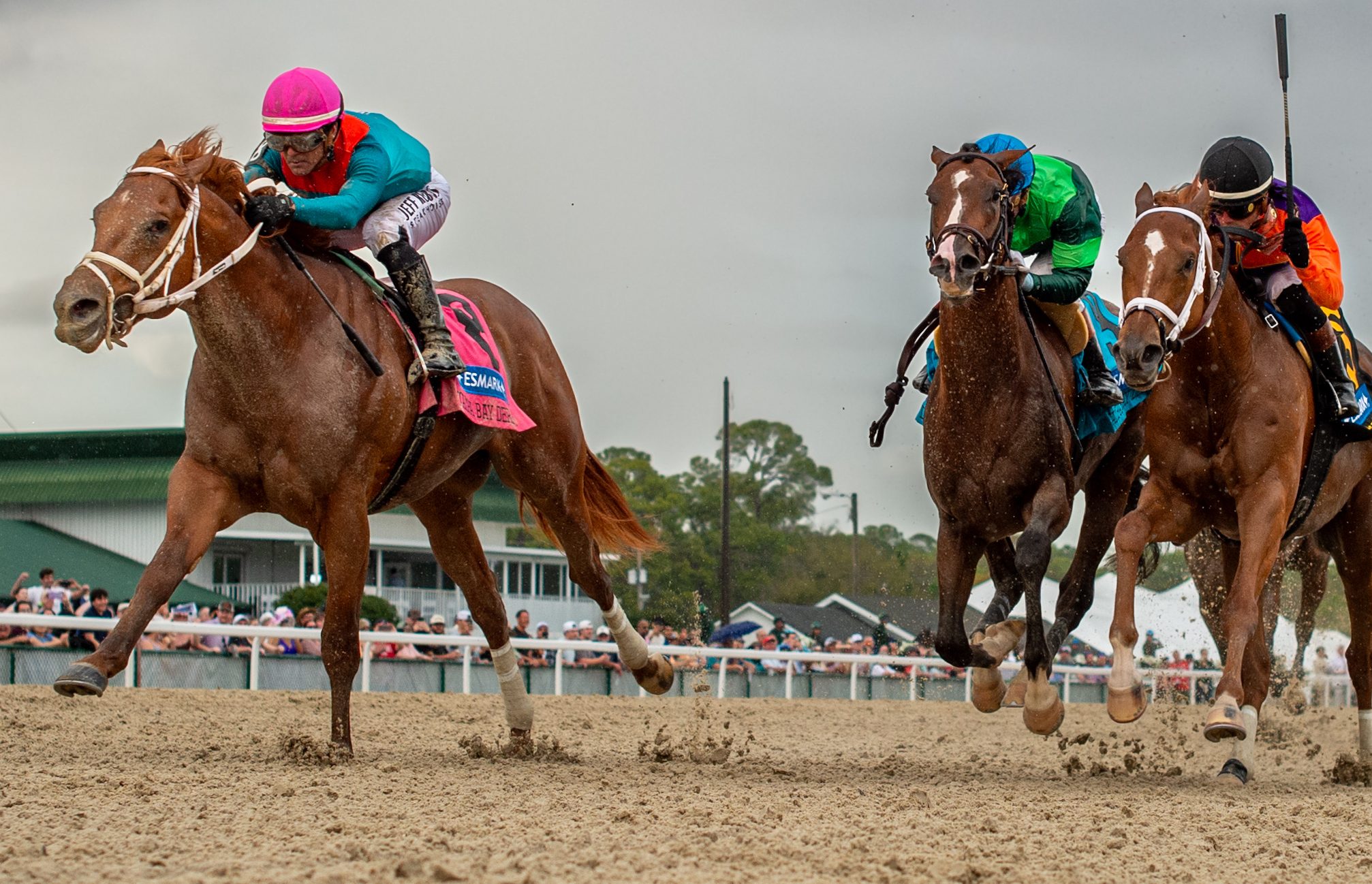 THE PUMA con la yunta de MAGE gana el Tampa Bay Derby