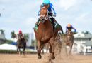 Delgado con THE PUMA a poner fin a su racha de segundos en el Curlin Florida Derby