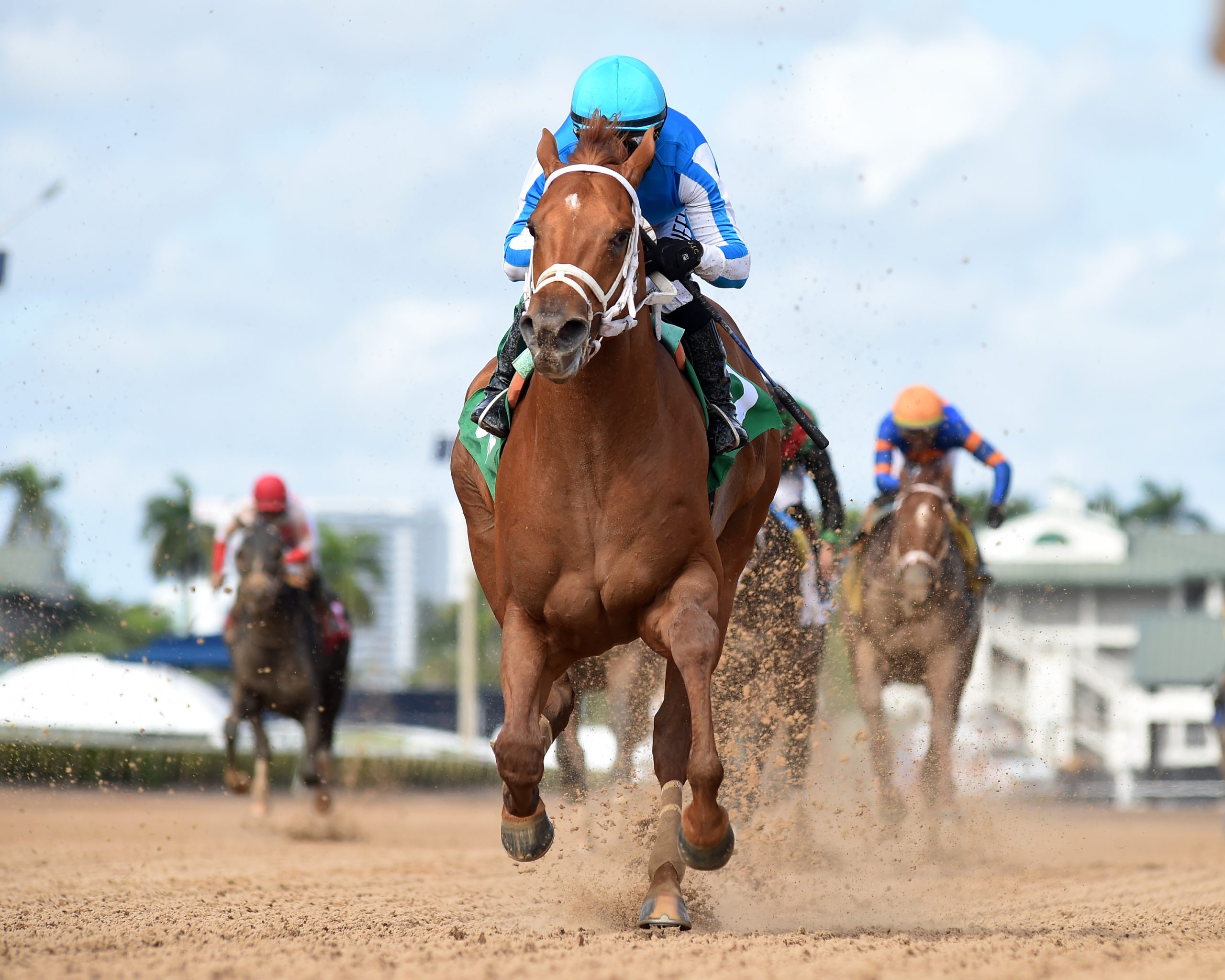 Delgado con THE PUMA a poner fin a su racha de segundos en el Curlin Florida Derby