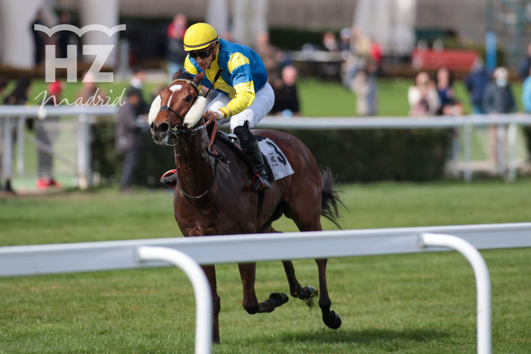 JUAN DE AUSTRIA, CACHOPO Y ZURITO, EMOCIONANTE TRÍO GANADOR DEL OPCIONAL