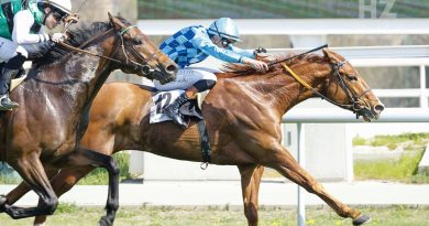 KILDARE LEGEND se lleva el oro en la preparatoria del Alburquerque KILDARE LEGEND se lleva el oro en la preparatoria del Alburquerque