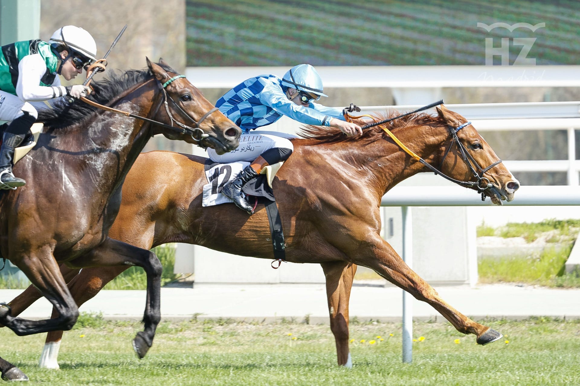 KILDARE LEGEND se lleva el oro en la preparatoria del Alburquerque