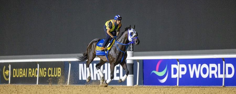 D’Angelo sueña con un gran triunfo en Dubái con BENTORNATO