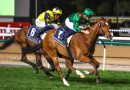 CALANDAGAN, el «Mejor Caballo de Carreras del Mundo», añade el Dubai Sheema Classic a su deslumbrante palmarés