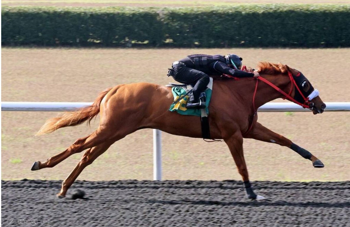 Hijos de DRAIN THE CLOCK y JACK CHRISTOPHER lideran el último día del Under Tack en OBS