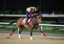 Notas de los entrenamientos en Meydan (Lunes 23/3)