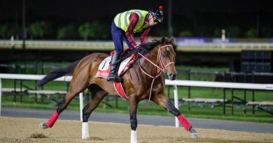 Notas de los entrenamientos en Meydan (Lunes 23/3) Notas de los entrenamientos en Meydan (Lunes 23/3)