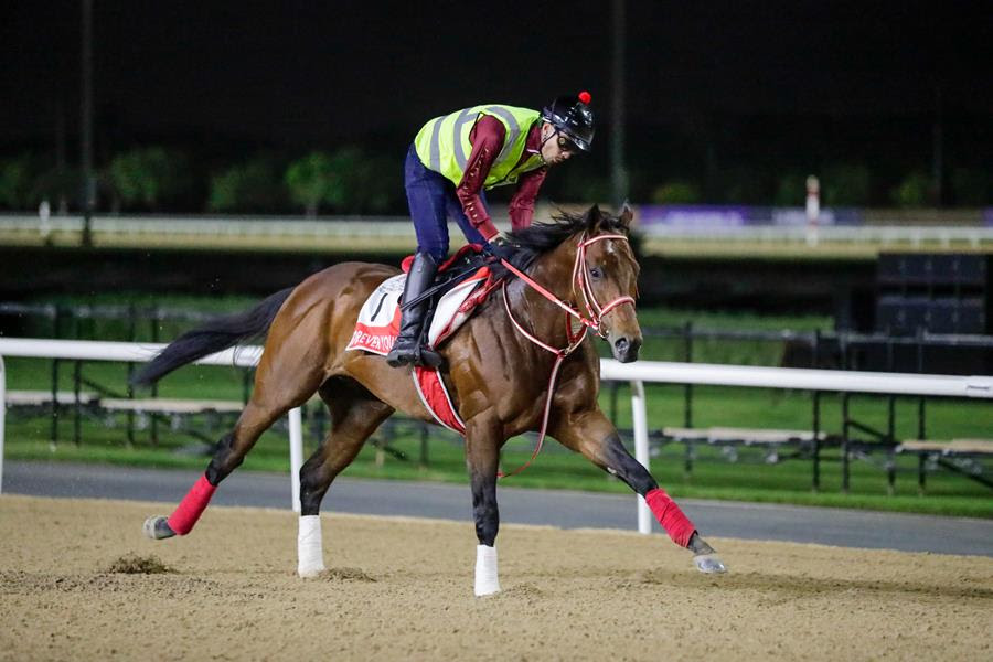 Notas de los entrenamientos en Meydan (Lunes 23/3)