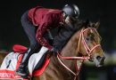 Notas sobre los entrenamientos en Meydan (27 de marzo) Notas sobre los entrenamientos en Meydan (27 de marzo)