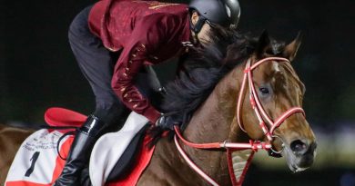 Notas sobre los entrenamientos en Meydan (27 de marzo) Notas sobre los entrenamientos en Meydan (27 de marzo)