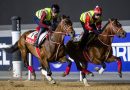 Las superestrellas Forever Young, Calandagan y Rebel’s Romance, entre los probables participantes de la jornada de la Dubai World Cup