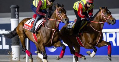 Las superestrellas Forever Young, Calandagan y Rebel’s Romance, entre los probables participantes de la jornada de la Dubai World Cup