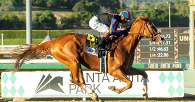 BRITISH ISLES luciò superior en el Santa Anita Handicap