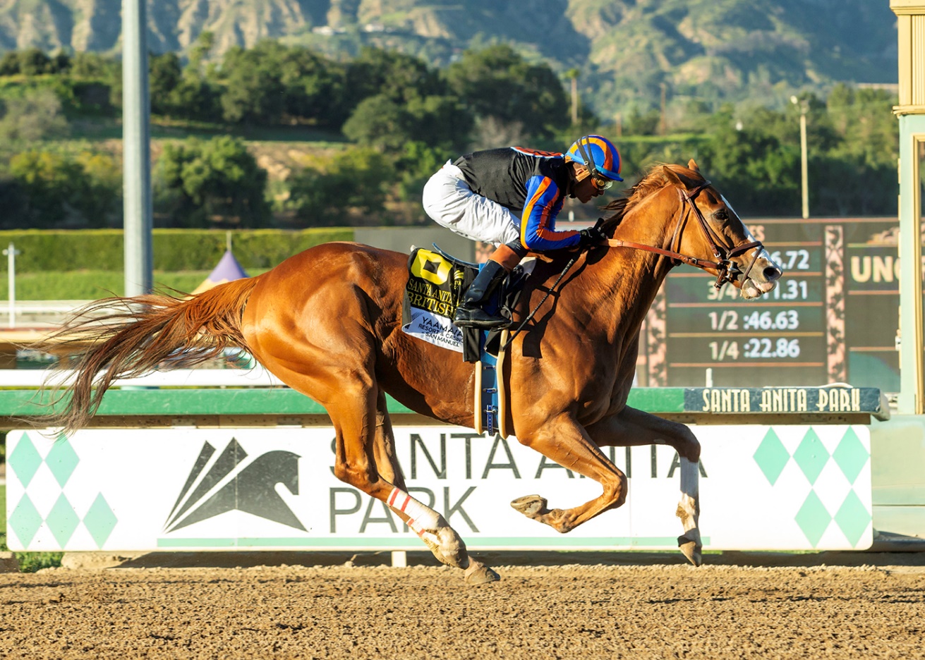 BRITISH ISLES luciò superior en el Santa Anita Handicap