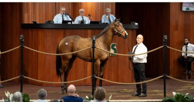 Hija de NYQUIST logró el «Top Price» de las Ventas de Dosañeros en Entrenamiento en OBS