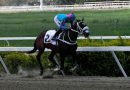 PRINCESA FINA suma y sigue en el Clásico Gustavo J. Sanabria
