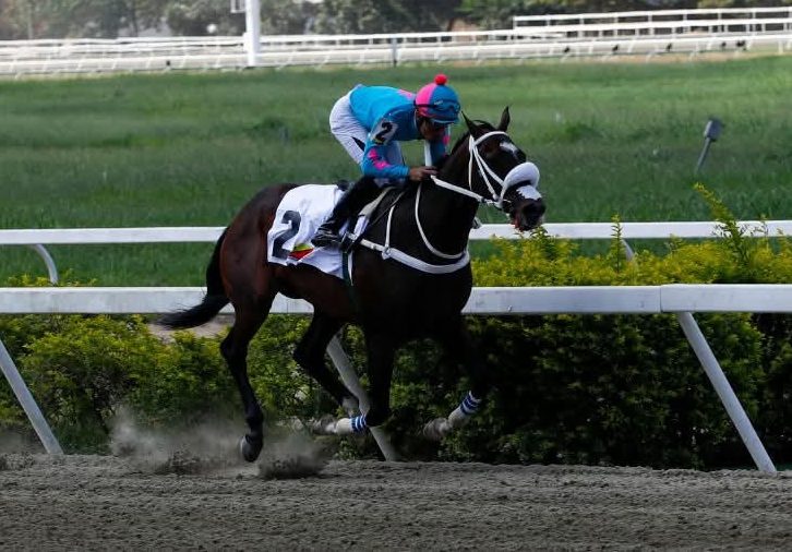 PRINCESA FINA suma y sigue en el Clásico Gustavo J. Sanabria