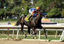 SPLENDORA logra su quinto triunfo seguido al ganar el Beholder