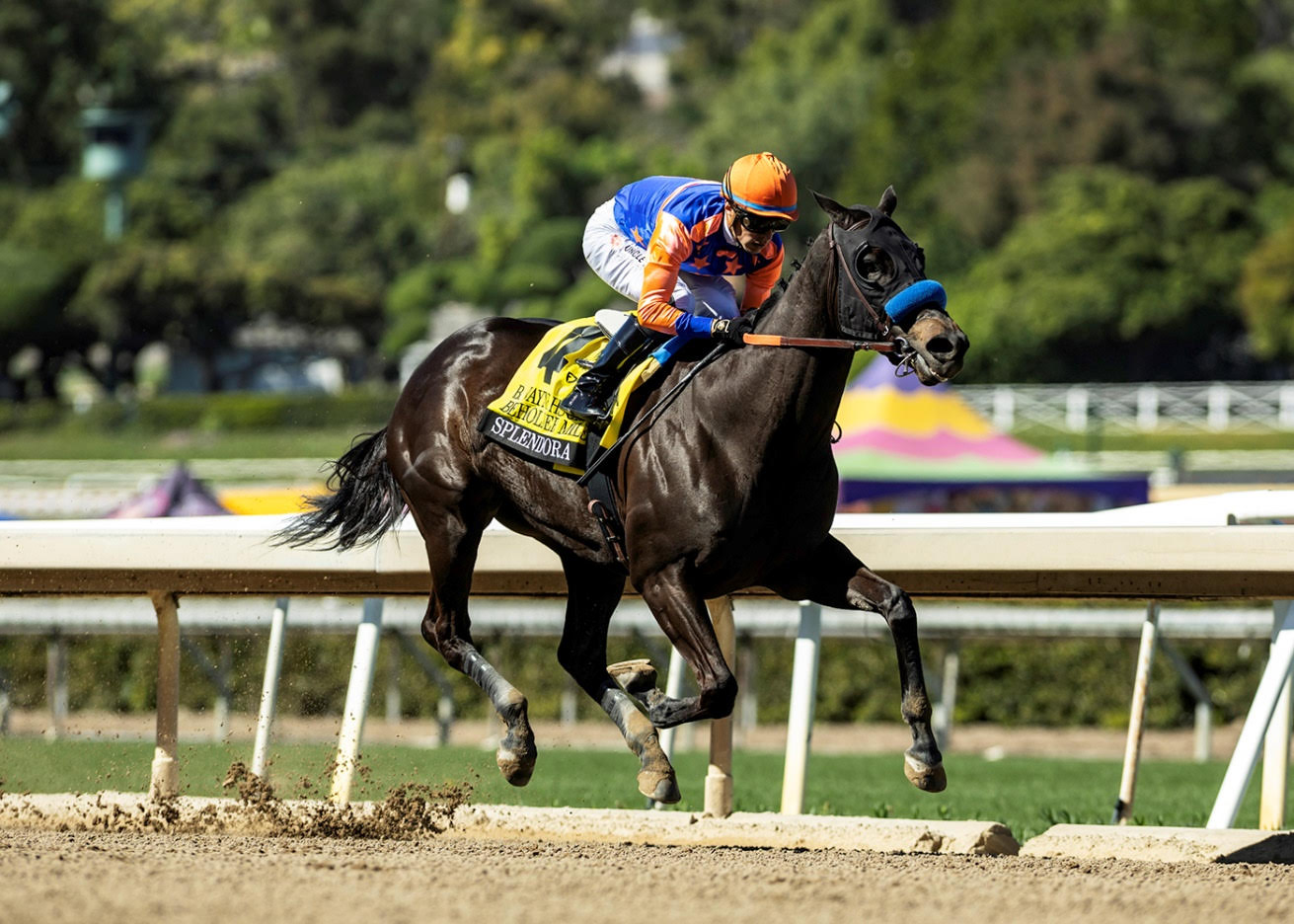SPLENDORA logra su quinto triunfo seguido al ganar el Beholder