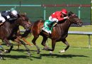 TAM TAM alcanza a LAIGINA en la recta final para ganar el Sanibel Island Stakes