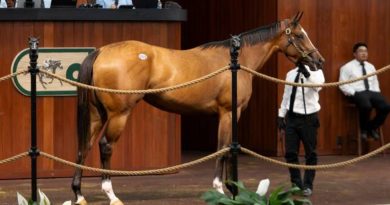Una hija de Bolt d’Oro brilla en el marcador y lidera el tercer día de la Venta de Abril de OBS